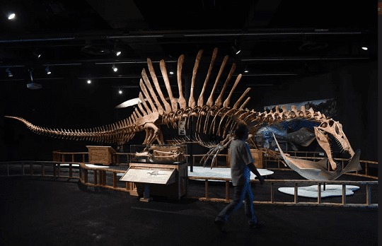 Encuentran restos del dinosaurio más grande de Europa - Columnas de México